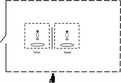 Difficulties in Monitoring Conspecifics Mediate the Effects of Visual Obstruction on the Level and Synchronization of Vigilance